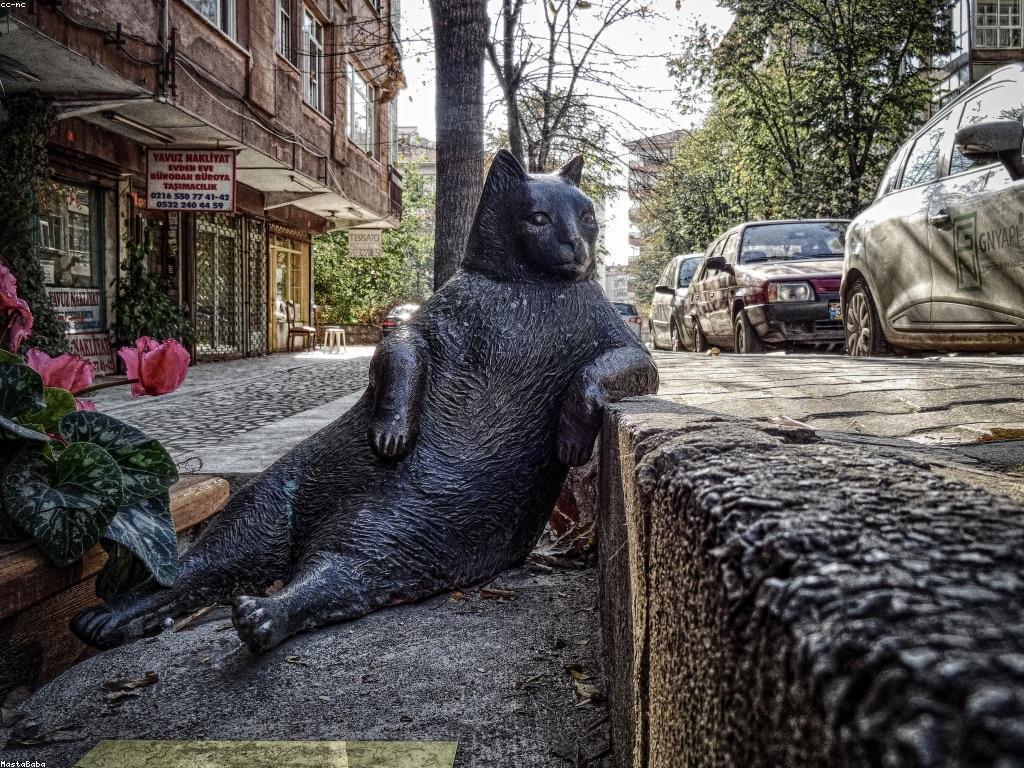 ពិភពនៃកម្សាន្តស្លូត: ការស្គាល់ និងកម្សាន្តជាមួយស្លូត